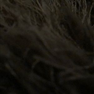 Meet your Posher, Ramon